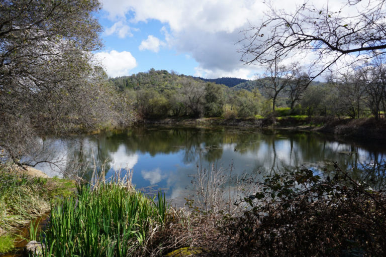 Hike the Pioneer Trail