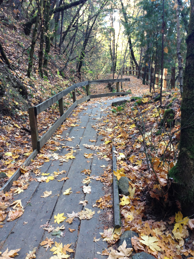 Easy Fall Hikes from Sacramento