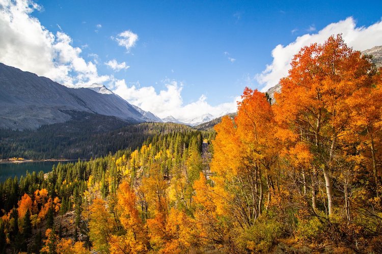Where to See Fall Color in Northern California